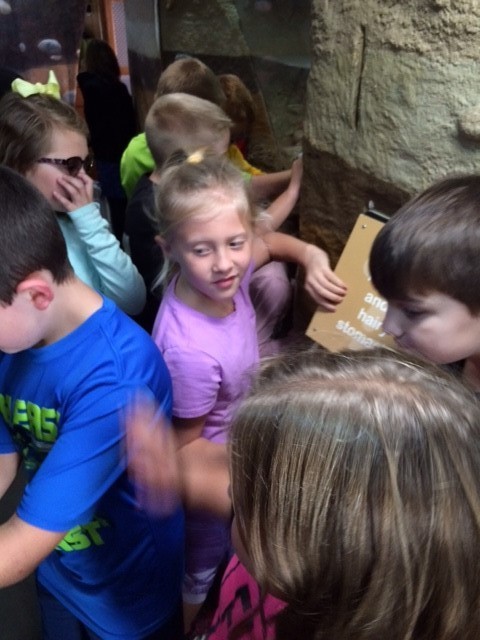 kids looking closely at cave wall